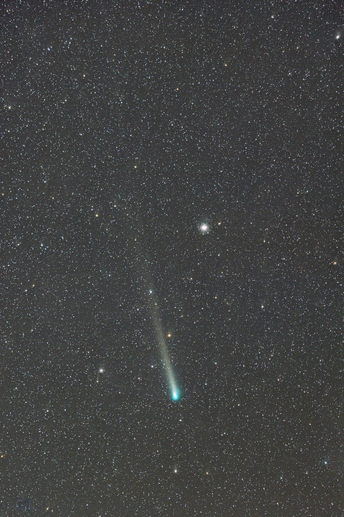 レナード彗星2021年12月5日あららぎ高原 のコピー