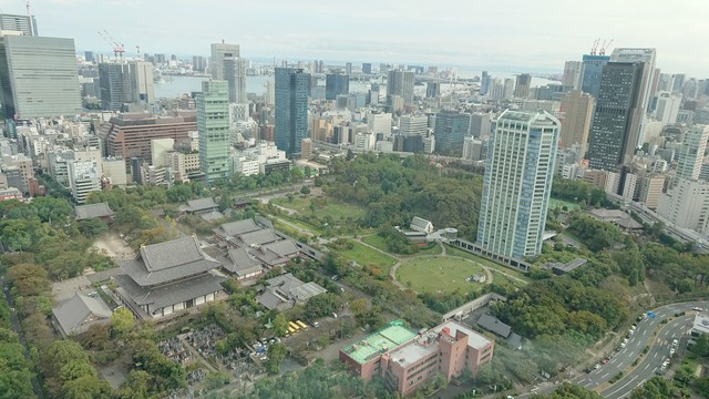 誕生日は東京タワーで Um Sonho A Dream 誕生日は東京タワーで Um Sonho A Dream