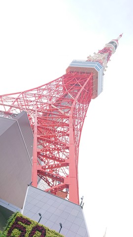 誕生日は東京タワーで Um Sonho A Dream