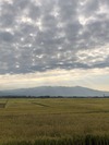 IMG_0209