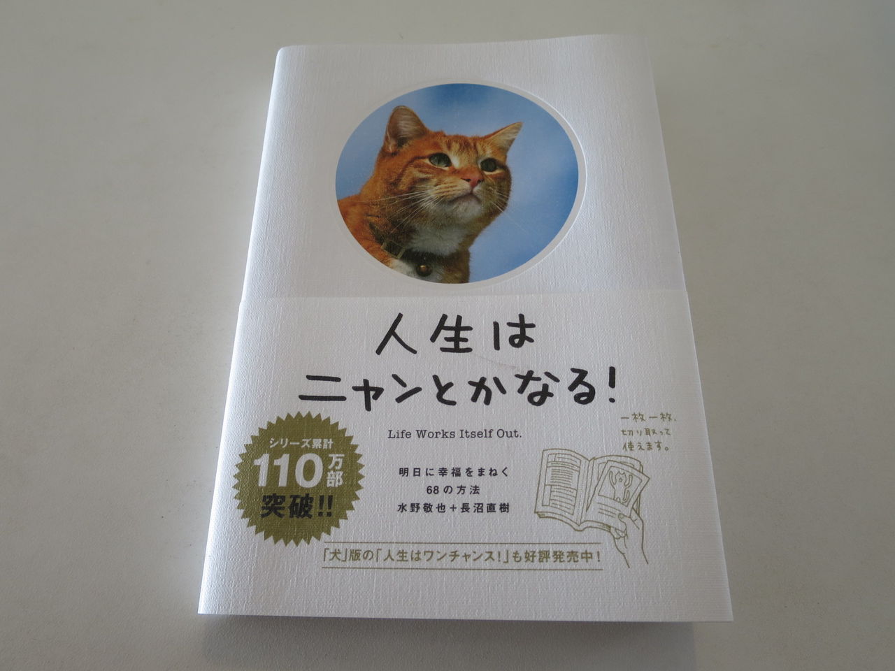 人生はニャンとかなる 西川名だより