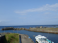 20200417_À¾Àî̾