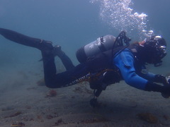 P3083133