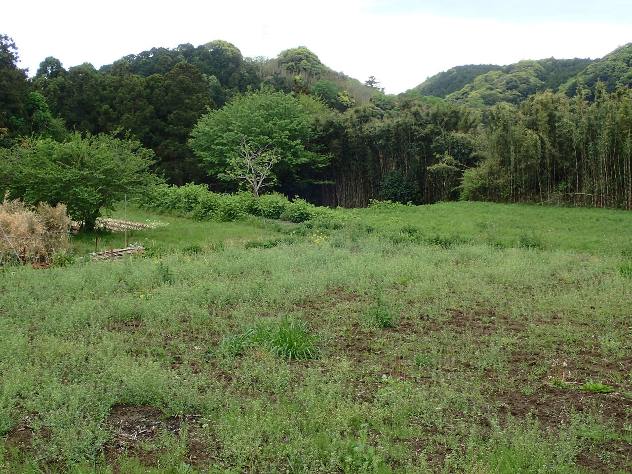 特攻機 桜花 発射台跡 西川名だより 特攻機 桜花 発射台跡 西川名だより