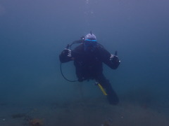 P3083134