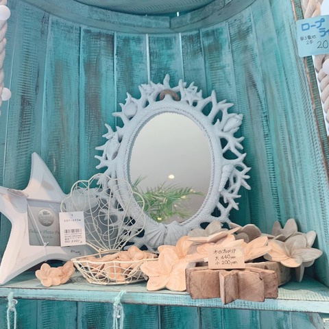 438255868_882124477052842_6295082243368198707_n