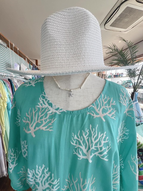 438221570_886214259977197_4182408974198036971_n