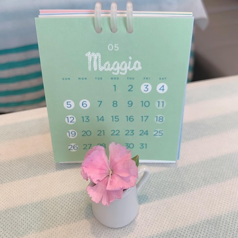 438304553_893519565913333_1156514801861753729_n