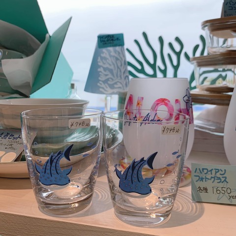 438260334_883267293605227_4161693678764977949_n