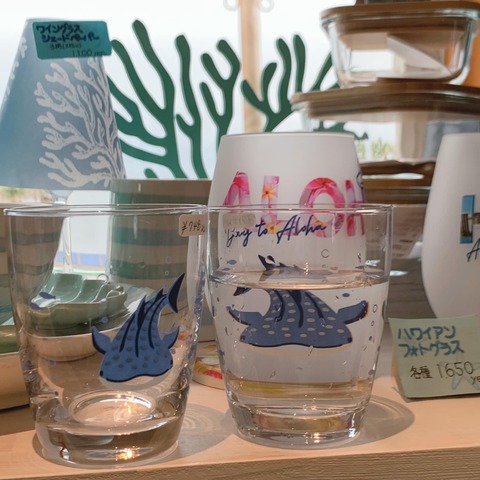 438253895_883267310271892_3376162409782226526_n