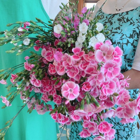 441927986_893519589246664_347332348856871833_n