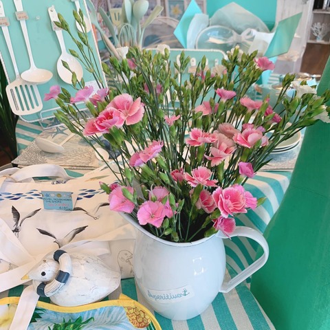 438304778_893519522580004_5430615677828283151_n