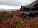 京都②