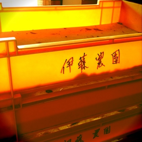 photo:02
