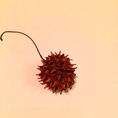 photo:04