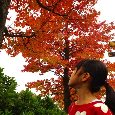 photo:02