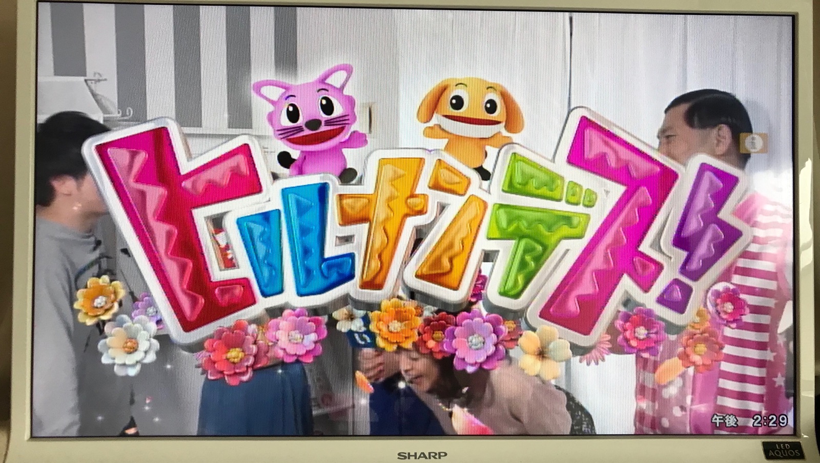 ヒルナンデス放送ありがとうございました ノープラン生活 ヒルナンデス放送ありがとうございました ノープラン生活
