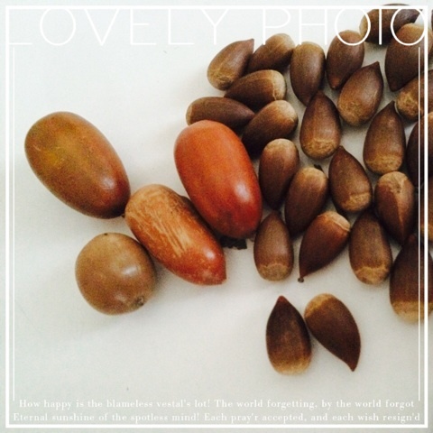 {2DE4C60C-97DD-4CB3-A95B-8A06D622E843:01}