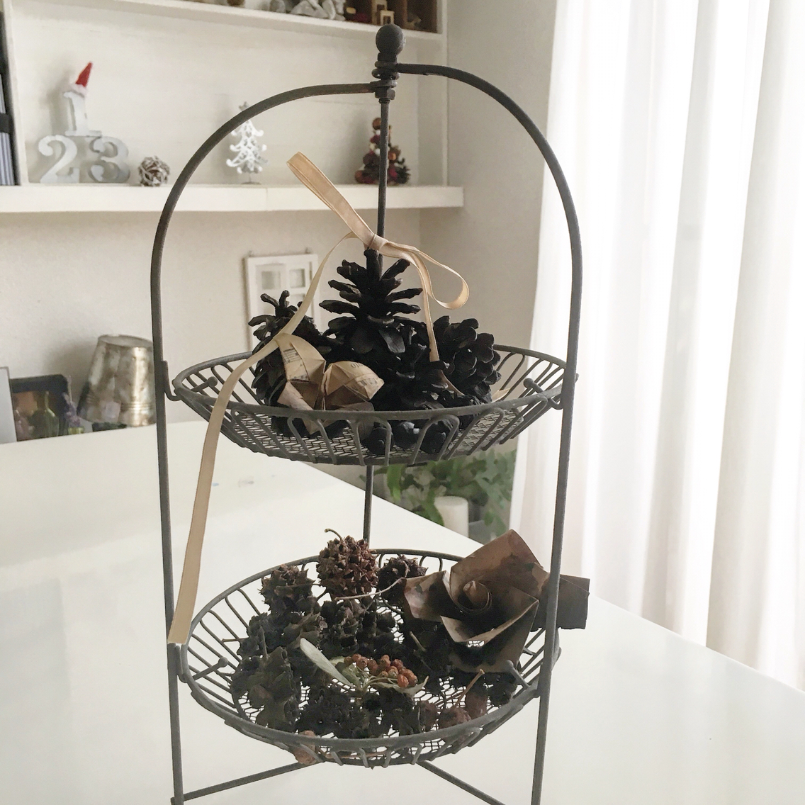 炭を作ろう 楽しい火遊び 簡単アウトドア実験 ノープラン生活