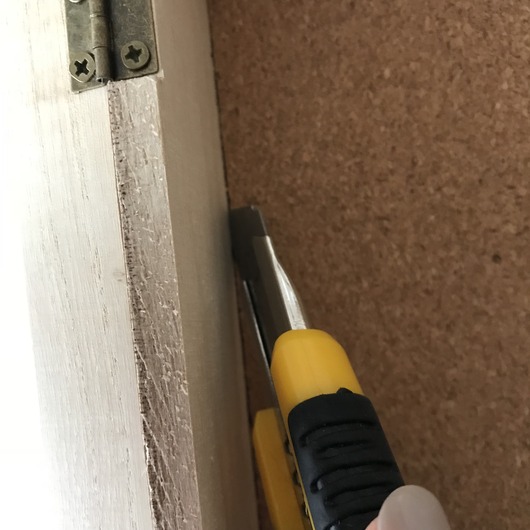 8B1F4688-5C58-41A6-87A1-ECAE74D3D23A