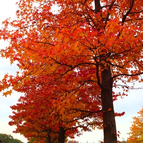 photo:01