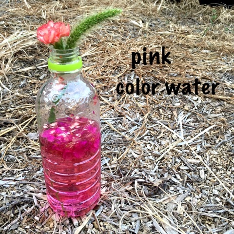 {64D22378-6CA1-4483-B596-969D6C6ECB7C}