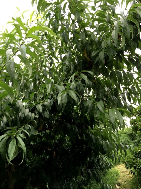 {C653BED3-BD7A-4E46-BF2D-3D14FFF5D878}