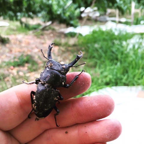 {8155C678-7AA1-4C5F-B8AD-434362EBED36}