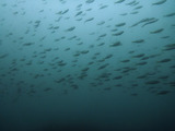タカベ