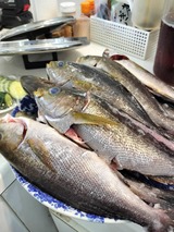 453067052_7875729425843652_4079678007220081870_n