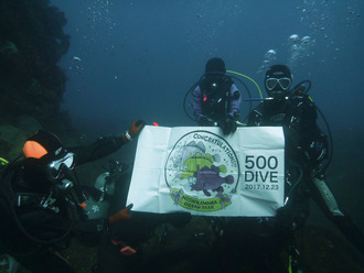 ��������ͤ���������ã����