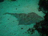 IMG_3894