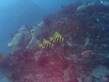 P9152230