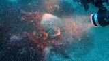 �������ߥ���