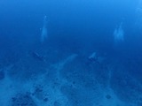 青いぞー!