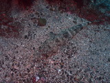 P9152232