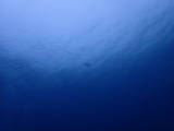 �������ߥ���