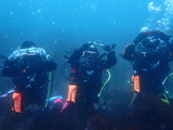 P3232016