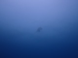 �������ߥ���