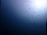 �����٤λҶ��η���