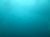 IMG_6564