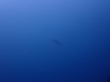 �������ߥ���