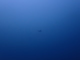 �ȥӥ���