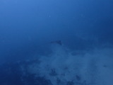 �ȥӥ���