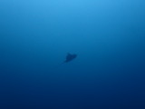 �ȥӥ���