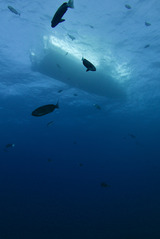 V字谷からボートくっきり