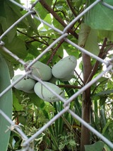 IMG_20260729_173939