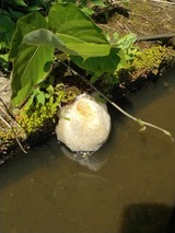 IMG_20260629_102108