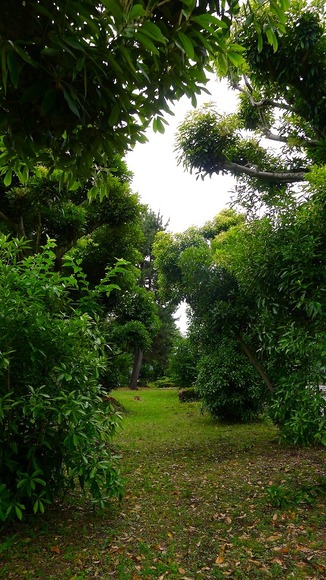 P1290723