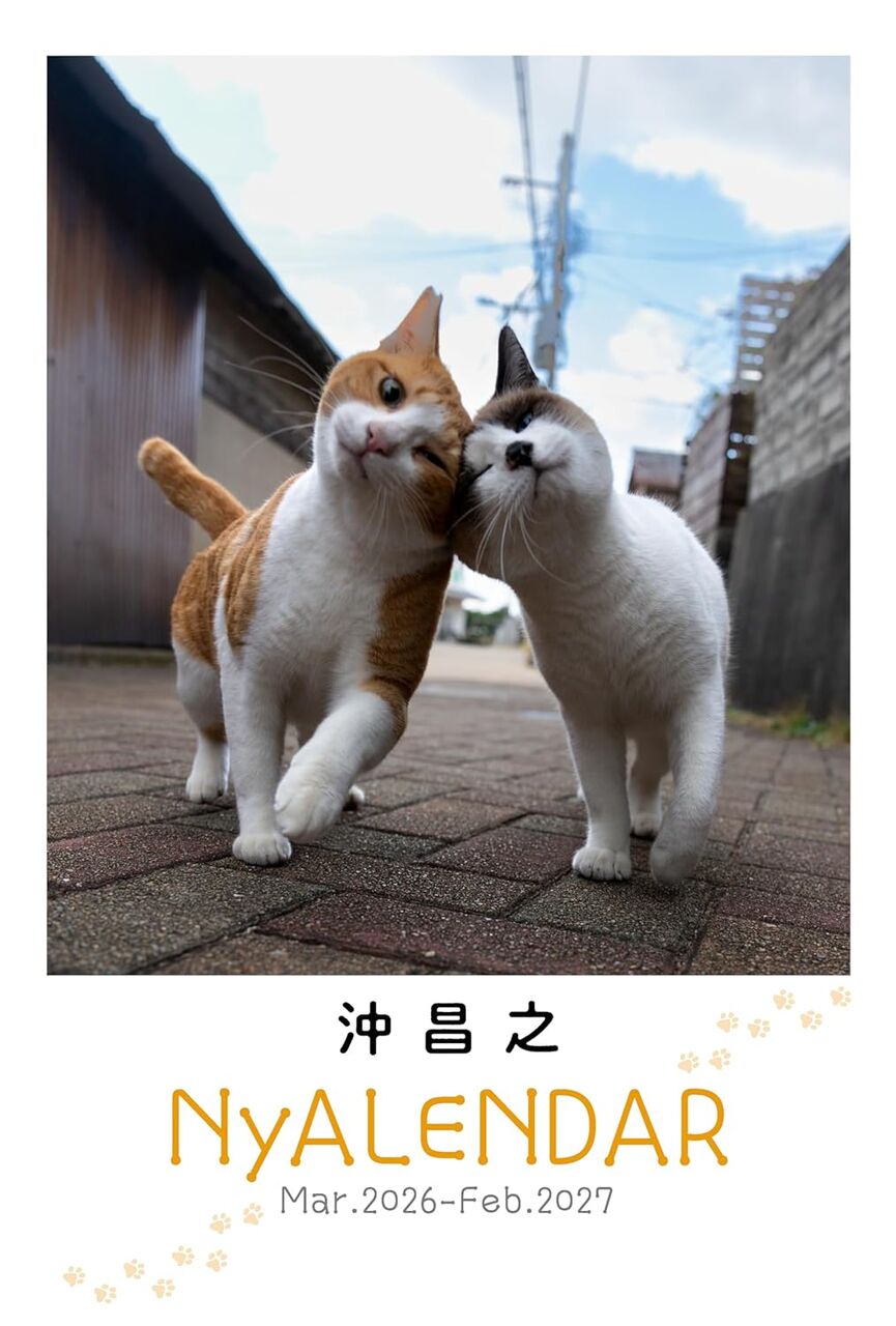 2月14日発売の NyAERA 2026 テラ盛りに参加します。 : 猫写真家・沖